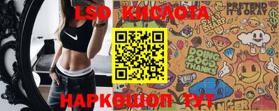 ГАЛЛЮЦИНОГЕННЫЕ ГРИБЫ Кинель