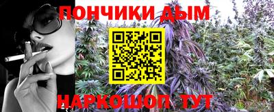 Альфа ПВП Кингисепп