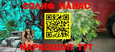 Альфа ПВП Кингисепп